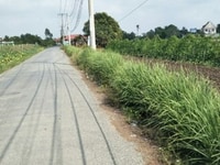 GD kẹt tiền cần bán 3700m đất vườn giá 3 tỷ quy đức Bình Chánh hcm . GD kẹt tiền cần bán 3700m đất vườn giá 3 tỷ quy đức Bình Chánh hcm .