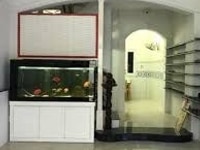 Bán nhà Nguyễn Đình Chính Phú Nhuận Bán nhà Nguyễn Đình Chính Phú Nhuận