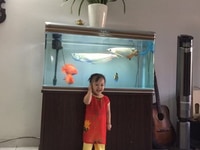 Nhà mình đang có nhu cầu tuyển 1 cô giúp việc Nhà mình đang có nhu cầu tuyển 1 cô giúp việc