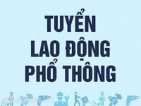 Cần gấp người bán hàng trực tiếp tại chỗ. Cần gấp người bán hàng trực tiếp tại chỗ.