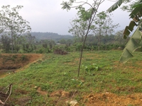 cần bán gấp 1700m đất thổ cư gần ủy ban xã yên bài cần bán gấp 1700m đất thổ cư gần ủy ban xã yên bài