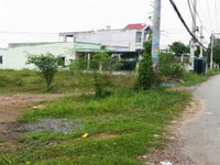 Đất Bình Chánh 1000 m2 đường Nguyễn Văn Thời giá 3 triệu/m2 Đất Bình Chánh 1000 m2 đường Nguyễn Văn Thời giá 3 triệu/m2