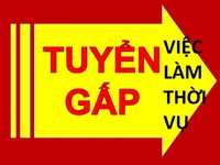 Tuyển Gấp LĐPT, NV BV thời vụ trả lương TUẦN