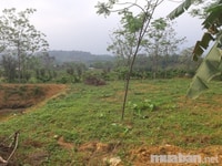 Cần bán gấp 1700 m đất thổ cư gần ủy ban xã Yên Bài Cần bán gấp 1700 m đất thổ cư gần ủy ban xã Yên Bài