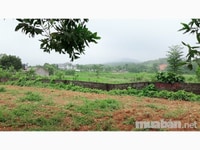 Cần bán 5200m đất thổ cư giá rẻ xã Yên Bài giá chỉ 4.2 tỷ Cần bán 5200m đất thổ cư giá rẻ xã Yên Bài giá chỉ 4.2 tỷ