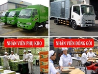 Cần gấp tài xế, phụ xe, lao động phổ thông lương 15tr/ tháng bao ăn ở Cần gấp tài xế, phụ xe, lao động phổ thông lương 15tr/ tháng bao ăn ở