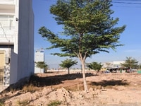 Tài chính dưới 1 tỷ, đã sở hữu đất nền bình chánh giá rẽ Tài chính dưới 1 tỷ, đã sở hữu đất nền bình chánh giá rẽ