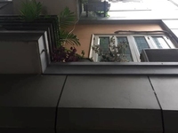 Nhà Hoa Bằng, DT 42m2, 5 tầng, MT 4,5m, 4,6 tỷ, nhà đẹp, cách ô tô 20m Nhà Hoa Bằng, DT 42m2, 5 tầng, MT 4,5m, 4,6 tỷ, nhà đẹp, cách ô tô 20m