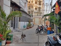 Bán gấp nhà mới 3 tấm, sổ hồng riêng, thương lượng Bán gấp nhà mới 3 tấm, sổ hồng riêng, thương lượng