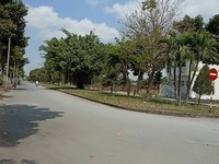 Cần bán 3 lô nền cặp gốc lựa chọn hàng đầu cho nhà đầu tư Cần bán 3 lô nền cặp gốc lựa chọn hàng đầu cho nhà đầu tư