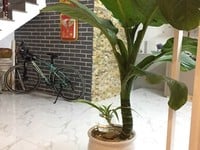 Bán Nhà 4 tầng Sổ đỏ chính Chủ, Khu vực Tiềm năng phát triển Bán Nhà 4 tầng Sổ đỏ chính Chủ, Khu vực Tiềm năng phát triển