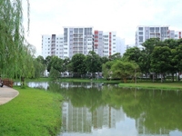 Bán căn hộ 3 phòng ngủ Celadon City, P.Sơn Kỳ, Tân Phú Bán căn hộ 3 phòng ngủ Celadon City, P.Sơn Kỳ, Tân Phú