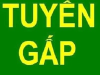 Đang cần tuyển gấp nhân viên bán hàng nhận ngay sau khi phỏng vấn Đang cần tuyển gấp nhân viên bán hàng nhận ngay sau khi phỏng vấn