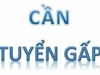 Đại lý sỉ và lẻ tại Đà Nẵng tìm người bán hàng Đại lý sỉ và lẻ tại Đà Nẵng tìm người bán hàng