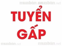Bách hóa tiện lợi đang cần tuyển nhân viên kế toán Bách hóa tiện lợi đang cần tuyển nhân viên kế toán