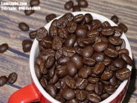 Cà phê hạt rang mộc nguyên chất cung cấp giá sỉ tại Bến Tre Cà phê hạt rang mộc nguyên chất cung cấp giá sỉ tại Bến Tre