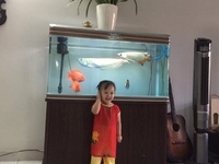 Cần gấp người giúp việc nhà từ 9.triệu đ/tháng Cần gấp người giúp việc nhà từ 9.triệu đ/tháng