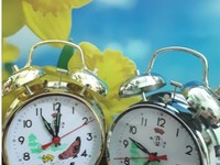 Đồng hồ con gà đồng hồ chạy giây cót Đồng hồ con gà đồng hồ chạy giây cót