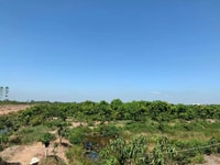 Vườn Xoài Long An Thu Hoạch 7 Tỷ/ Năm, Gần 170,000m Đất, 22.4 Tỷ. Vườn Xoài Long An Thu Hoạch 7 Tỷ/ Năm, Gần 170,000m Đất, 22.4 Tỷ.