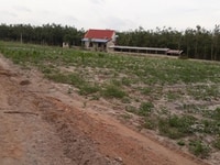 Đất ngay trung tâm huyện chơn thành , dân cư đông đúc phát triển mạnh Đất ngay trung tâm huyện chơn thành , dân cư đông đúc phát triển mạnh