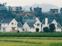 Bán 1 hecta đất làm nhà vườn nghỉ dưỡng - trang trại xã Vân Hòa 3,3 tỷ Bán 1 hecta đất làm nhà vườn nghỉ dưỡng - trang trại xã Vân Hòa 3,3 tỷ