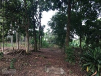 Bán 3200m2, 800m2 đất ở, đất làm nhà hàng, nhà xưởng, trang trại Bán 3200m2, 800m2 đất ở, đất làm nhà hàng, nhà xưởng, trang trại