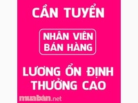 Tuyển nhân viên bán hàng không cần kinh nghiệm Tuyển nhân viên bán hàng không cần kinh nghiệm