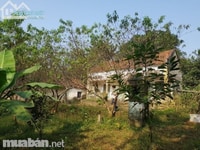 Cần bán 2700m đất thổ cư gần khu du lịch Khoang Xanh view đẹp Cần bán 2700m đất thổ cư gần khu du lịch Khoang Xanh view đẹp