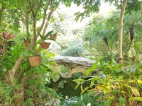 Bán trang trại nghỉ dưỡng cuối tuần diện tích 4000m2 Lương Sơn, HB Bán trang trại nghỉ dưỡng cuối tuần diện tích 4000m2 Lương Sơn, HB
