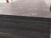 Ván ép phủ phim, gỗ dán, phủ phim giá rẻ Ván ép phủ phim, gỗ dán, phủ phim giá rẻ