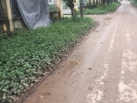 Bán 79m Đa Tốn, đường oto tải đỗ cửa, MT 4,5m Bán 79m Đa Tốn, đường oto tải đỗ cửa, MT 4,5m