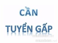 Cần Người Phụ Giúp Bán Hàng Tại max shop Cần Người Phụ Giúp Bán Hàng Tại max shop