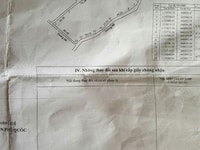 Bán đất phú quốc ấp cây thông trong xã cữu dương tỉnh kiên giang Bán đất phú quốc ấp cây thông trong xã cữu dương tỉnh kiên giang