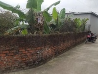 Bán đất thổ cư giá rẻ xã Tân Phong Vũ Thư Thái Bình Bán đất thổ cư giá rẻ xã Tân Phong Vũ Thư Thái Bình