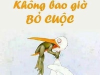 Nhân Viên Hành Chính Văn Phòng Nhân Viên Hành Chính Văn Phòng
