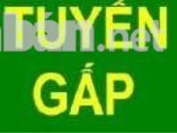 Công ty cần tuyển gấp 02 nhân viên văn phòng. Công ty cần tuyển gấp 02 nhân viên văn phòng.