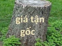 Nhà đẹp 2 lầu 4 pn 4wc giá 2ty3 shr tìm nhà đầu tư thông minh Nhà đẹp 2 lầu 4 pn 4wc giá 2ty3 shr tìm nhà đầu tư thông minh