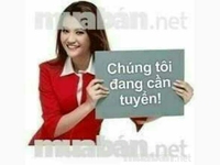Công ty cần tuyển 01 Nhân viên Thu ngân làm tại Cửa hàng Công ty cần tuyển 01 Nhân viên Thu ngân làm tại Cửa hàng