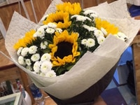 Hoa tươi mùa xuân. Hoa tươi đà lạt Hasfarm Đông Châu Hoa tươi mùa xuân. Hoa tươi đà lạt Hasfarm Đông Châu