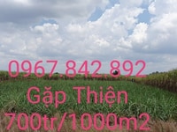 Kẹt tiền kinh doanh-Bán gấp lô đất LKKDC Phú Đông & Sen Việt 212 hecta Kẹt tiền kinh doanh-Bán gấp lô đất LKKDC Phú Đông & Sen Việt 212 hecta