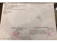 Đất khu B6 đường thông Nguyễn Sinh Sắc. Khu Phương Trang Đất khu B6 đường thông Nguyễn Sinh Sắc. Khu Phương Trang