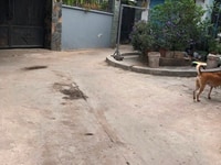 Cần bán căn nhà cấp 4, Hẻm 3m Đường 24, Linh Đông, Thủ Đức Cần bán căn nhà cấp 4, Hẻm 3m Đường 24, Linh Đông, Thủ Đức