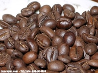 Cafe hạt Culi_Robusta nguyên chất giá sỉ Quận Hà Đông Cafe hạt Culi_Robusta nguyên chất giá sỉ Quận Hà Đông