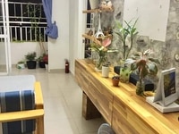 Cần cho thuê gấp căn 3pn 2wc chung cư lotus garden giá 12tr Cần cho thuê gấp căn 3pn 2wc chung cư lotus garden giá 12tr