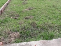 Chính chủ cần bán cặp đất Đại Hiệp gần ĐIỆN MÁY XANH Chính chủ cần bán cặp đất Đại Hiệp gần ĐIỆN MÁY XANH