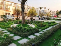Biệt Thự Ven Sông Vàm Cỏ, Cuộc Sống Xanh Trong Lòng TP Biệt Thự Ven Sông Vàm Cỏ, Cuộc Sống Xanh Trong Lòng TP