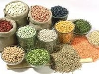 Cần tuyển gấp 2 nam giao hàng nông sản lương 7 triệu Cần tuyển gấp 2 nam giao hàng nông sản lương 7 triệu