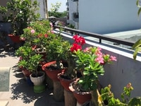 Cần bán lô đất 2 mặt tiền đường Vườn Lài - An Phú Đông Cần bán lô đất 2 mặt tiền đường Vườn Lài - An Phú Đông