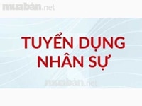 Tuyển 01 Nữ Nhân Viên Văn Phòng
6.800.000 đ Tuyển 01 Nữ Nhân Viên Văn Phòng
6.800.000 đ