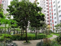 Cho thuê căn hộ Celadon City, 81m2, 3PN, Full NT, giá 14.5tr/tháng. Cho thuê căn hộ Celadon City, 81m2, 3PN, Full NT, giá 14.5tr/tháng.